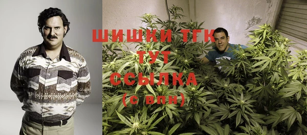 гидра Алексин