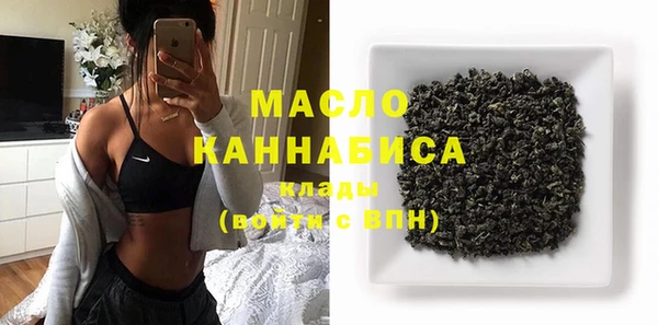дмт Надым