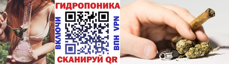 кракен онион Яхрома Конопля Bruce Banner